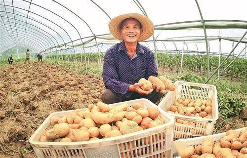 国家局驻竹山县扶贫工作队积极引导发展中华小蜜蜂养殖产业,与中国